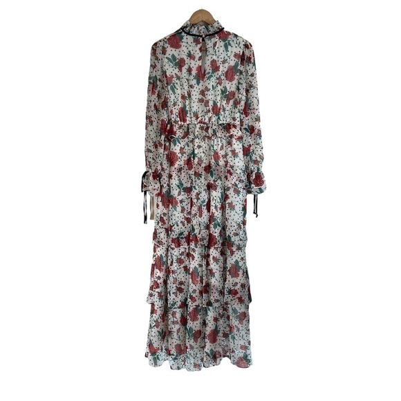 The Moon Chiffon Long Sleeve Tiered Maxi Dress - Picture 6 of 10